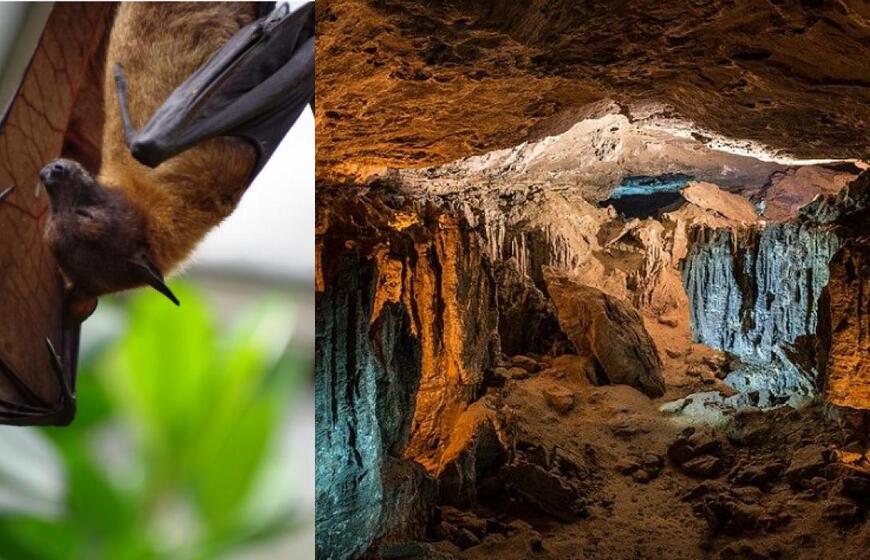 Kenijoje esantis Kitumo urvas