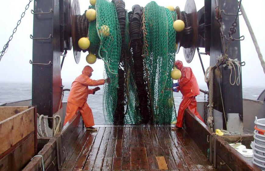 Atviroje Baltijos jūroje žvejojančios Lietuvos žuvininkystės produktų