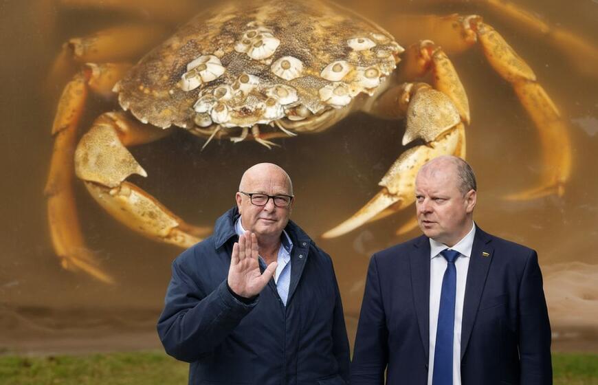 Visvaldas Matijošaitis, Saulius Skvernelis