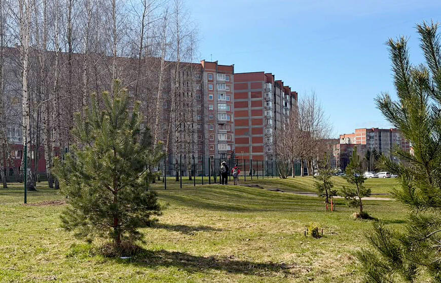 Liudviko Stulpino progimnazija, tvora