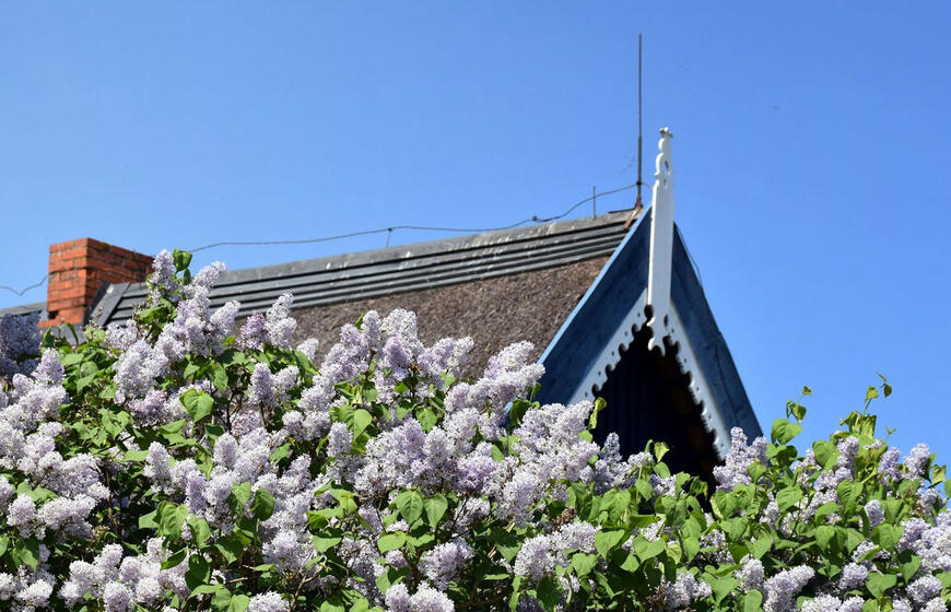 architektūrinio paveldo
