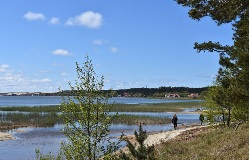 Neringos savivaldybė