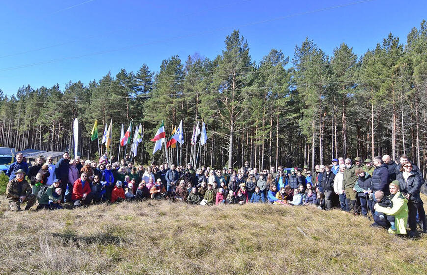 pasodino 16 tūkst. paprastosios pušies sodinukų