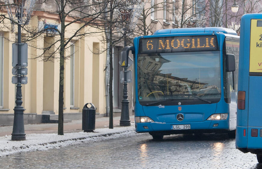 Klaipėda, autobusas