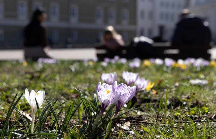 Orai: pavasaris įsibėgėja