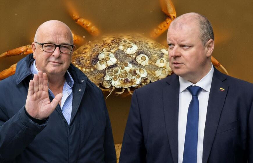 Visvaldas Matijošaitis, Saulius Skvernelis