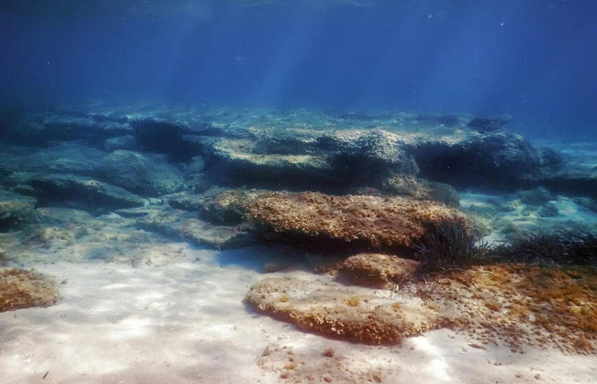 Aukso kilmė po vandenynais