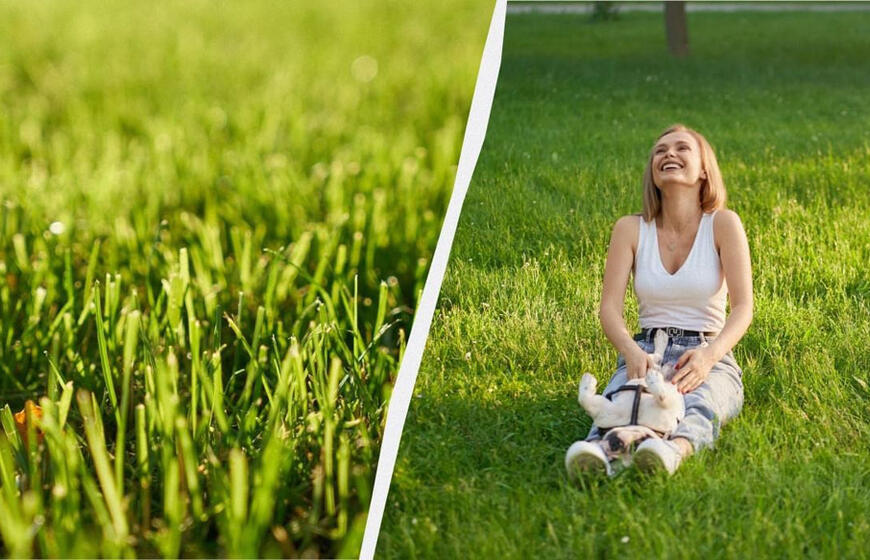 Veja kaip futbolo aikštėje: kaip teisingai sėti be volo ir ravėjimo