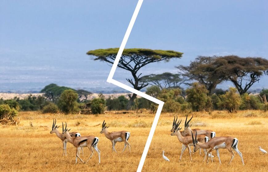 Afrika