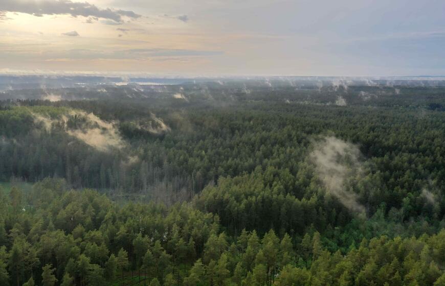 Miškas