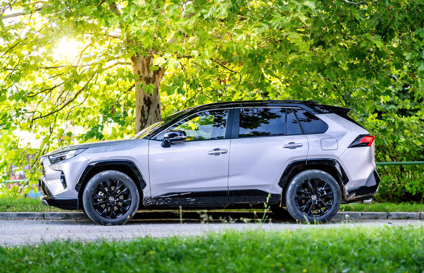 Kodėl per karščius nereikėtų statyti automobilio po medžiais