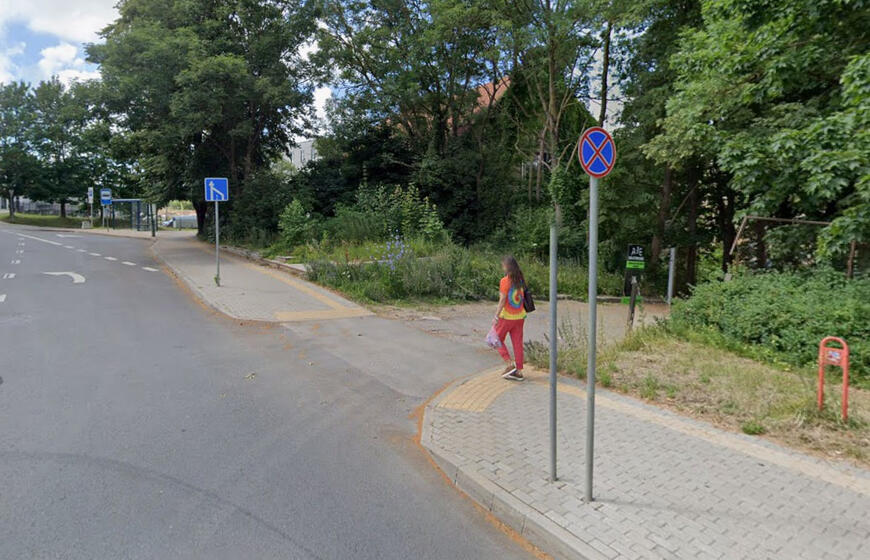 Bangų gatvė, medžiai