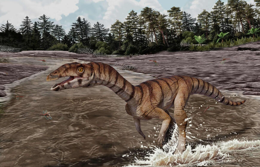 Naujojoje Meksikoje atrastas keistas „raganų krokodilas“, primenantis dinozaurą