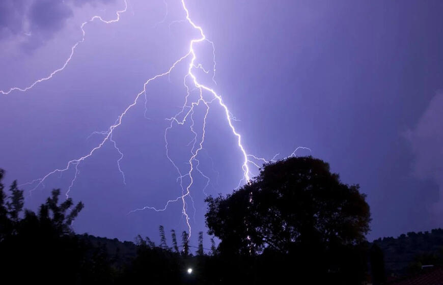 Žaibo magnetai: kokių medžių nereikėtų sodinti šalia namų