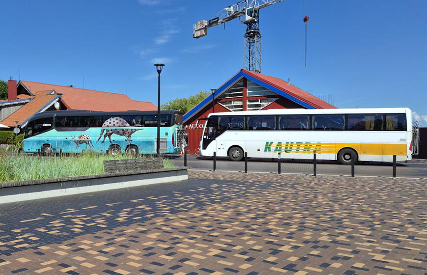 Nida, autobusai