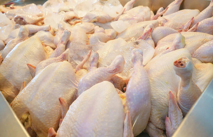 Kaip pašalinti antibiotikus iš parduotuvinės vištienos per valandą