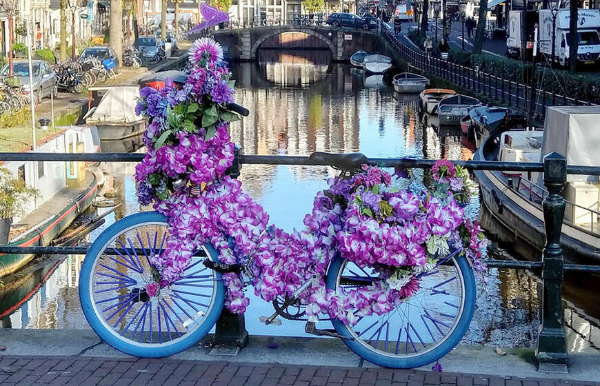 Amsterdamas, kanalas, dviratis, gėlės