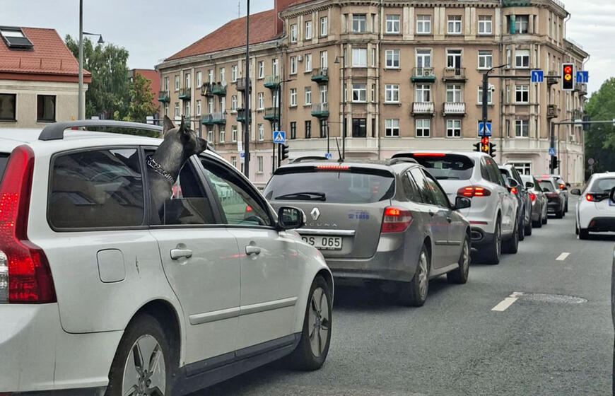 automobiliai, gatvė, sankryža