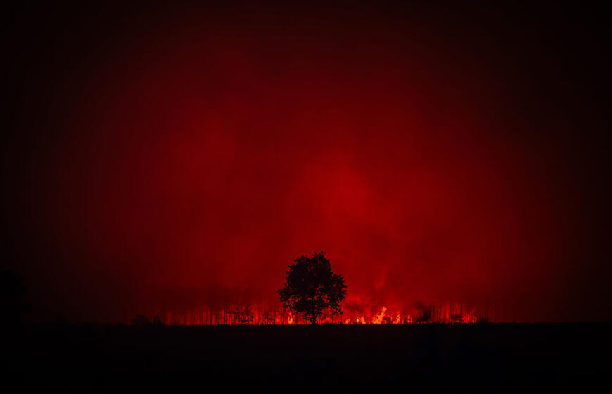 Miško gaisras pietų Prancūzijoje
