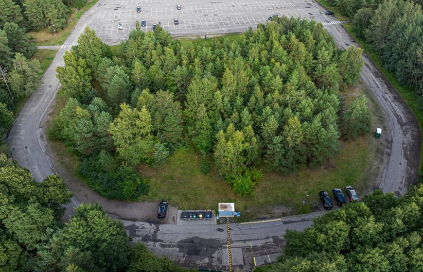 centrinis paplūdimys, aikštelė