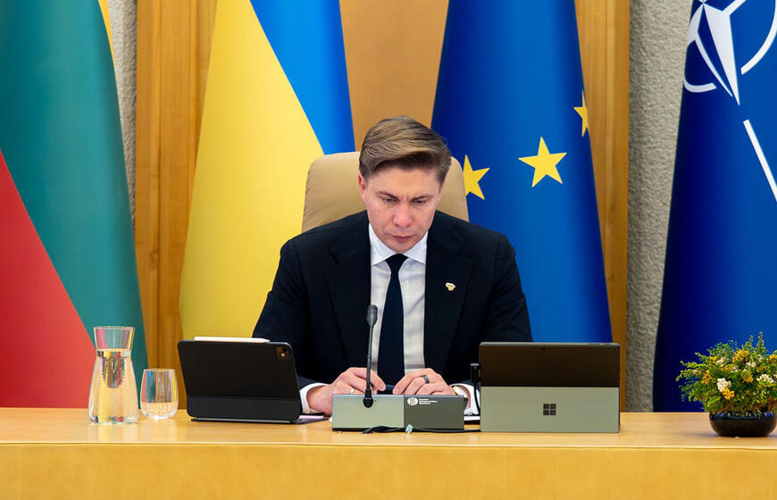 Mindaugas Sinkevičius, Vyriausybė