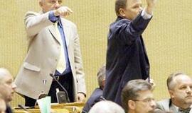 Seimas nesudaužė politikų neliečiamybės skydų