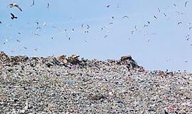 Medicinos atliekos - uždelsto veikimo bomba