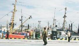 Žvejų uostelis ir žuvų aukcionas galėtų būti vienose rankose