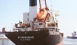 "Lietuvos jūrų laivininkystės" laukia sunkūs metai