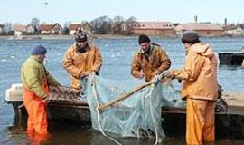 Žvejų meką valstybė pavers tik legenda