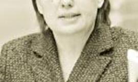 Savivaldos reformą klampina partijų interesai