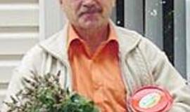 Medus ne visada yra vaistas