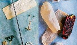 Pirmieji kontraceptikai: nuo gyvūnų mėšlo iki gyvsidabrio