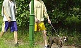 Klaipėdoje įsibėgėja ekologinės policijos darbas