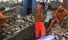 Žvejai savo veiklą lygina su atominės bombos gamyba