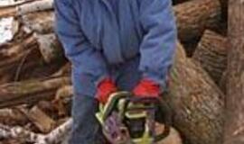 Lietuvos medienos rinkoje - permainos