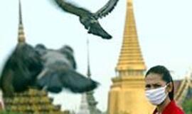 Kaip apsisaugoti nuo paukščių gripo viruso