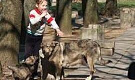 Už atsainumą augintiniams - lėtinės ligos