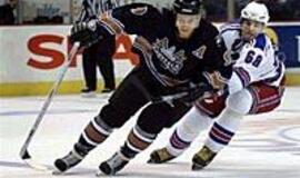 D. Zubraus sąskaitoje - per 100 įvarčių