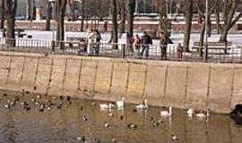 Paukščių gripo kilpa - vis siauresnė