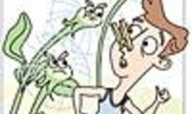 Bronchų astmos ir alerginės slogos duetas