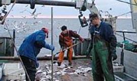 Europa tebesiginčija dėl laivų modernizavimo