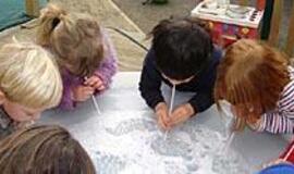 Vaikų populiarumo arba nepopuliarumo priežastys (2)