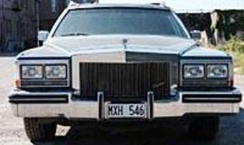 Mįslingasis kadilakas: S. Stalonės ar ne?