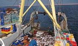 Ar per didelės išmokos už supjaustomus laivus?