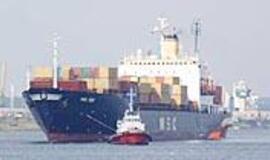 Kodėl lėtėja konteinerių krovos augimas?