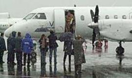 Šventėms grįžtantys emigrantai šaudo kiškius