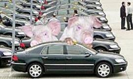 Kokiais automobiliais riedės Kiaulės metai?