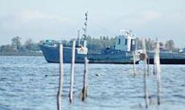 Žvejai įžvelgia inspektorių ir brakonierių tandemą