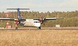 Kylantiems lėktuvams - medžių siena